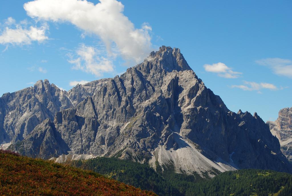 Trogerhof Appartement Toblach Buitenkant foto